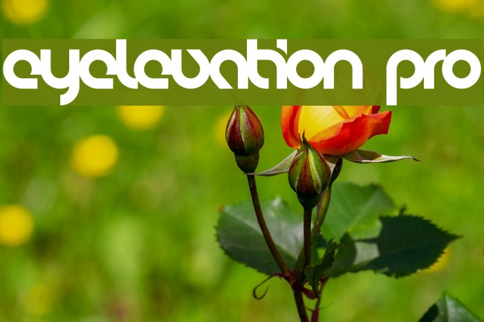 eyelevation pro Font examples