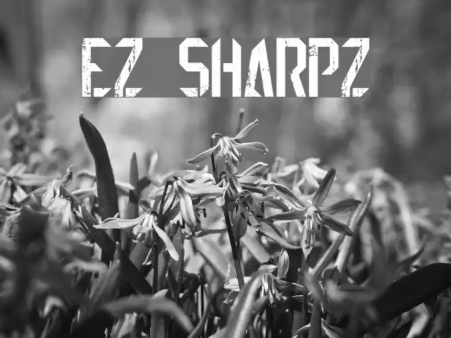 EZ Sharpz Font examples