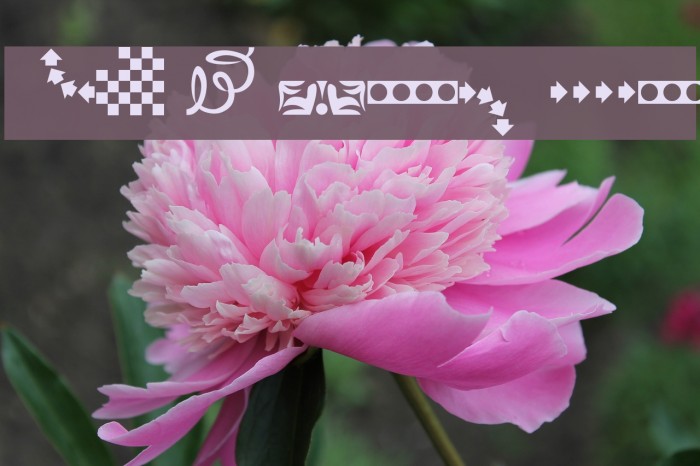 EZBorder Font examples