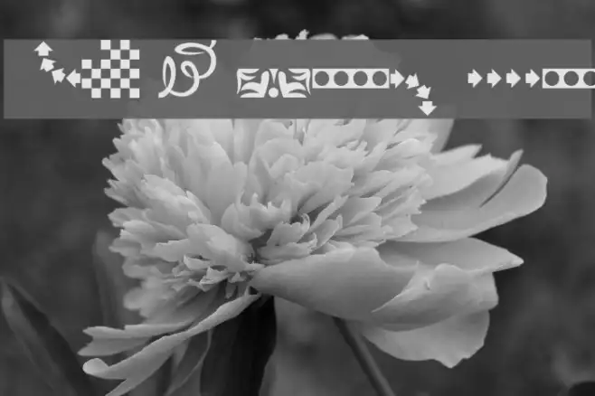 EZBorder Example 1