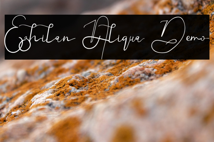 Ezhilan Aliqua Demo Example 3