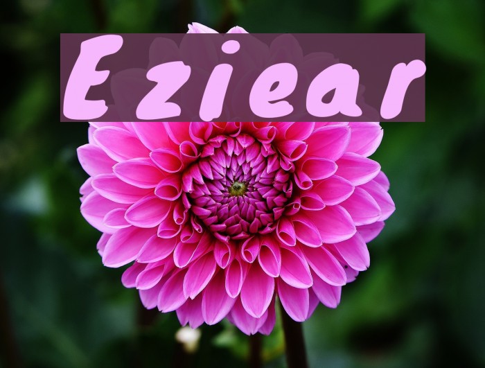 Eziear Font examples