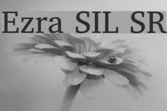 Ezra SIL SR examples