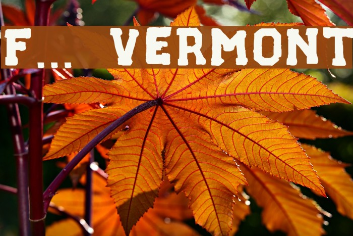 F... VERMONT Font examples