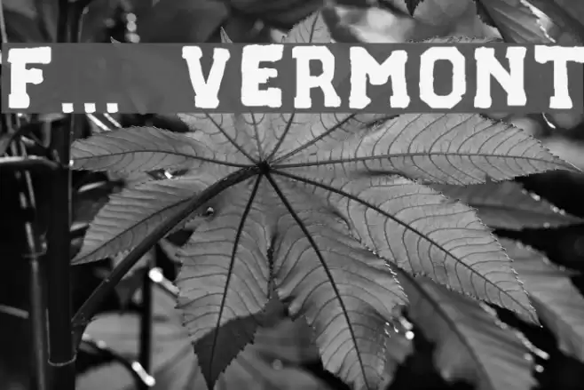 F... VERMONT Font examples