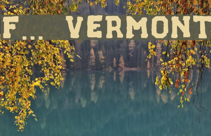 F... VERMONT Font examples