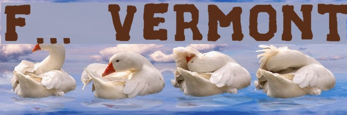 F... VERMONT Font examples