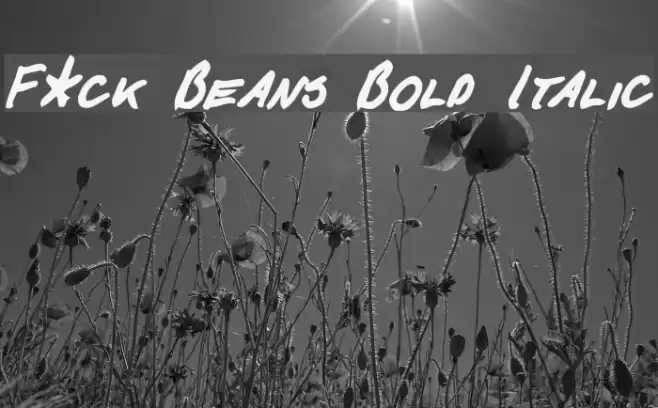 F*ck Beans Bold Italic Fonte examples