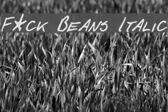 F*ck Beans Italic Schriftart examples