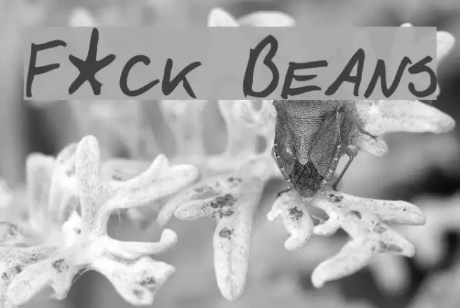 F*ck Beans Шрифта examples