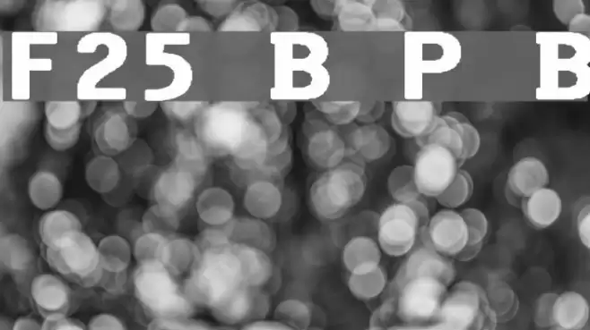 F25 Bank Printer Bold Fuentes examples