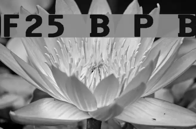 F25 Bank Printer Bold Fuentes examples