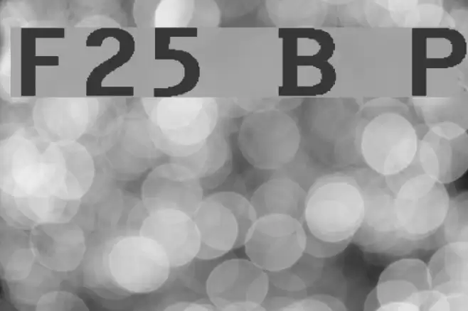 F25 Bank Printer Font examples