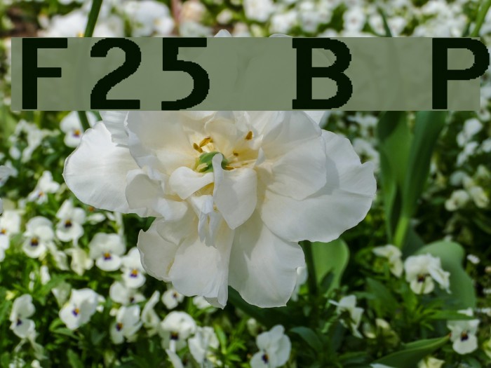 F25 Bank Printer Font examples