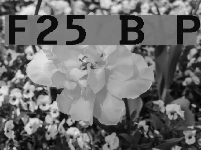 F25 Bank Printer Font examples