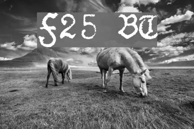 F25 BlackletterTypewriter Polices examples