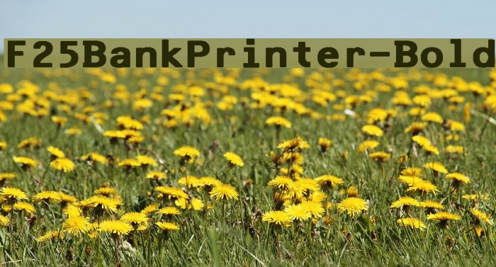 F25BankPrinter-Bold Font examples