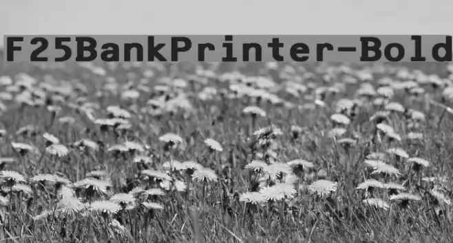 F25BankPrinter-Bold フォント examples