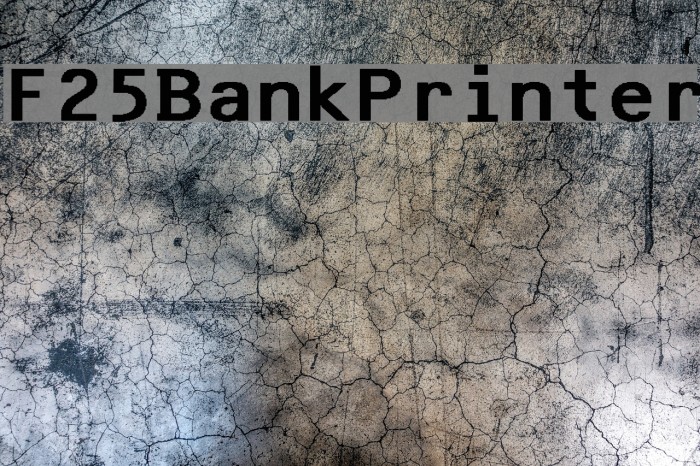 F25BankPrinter フォント examples