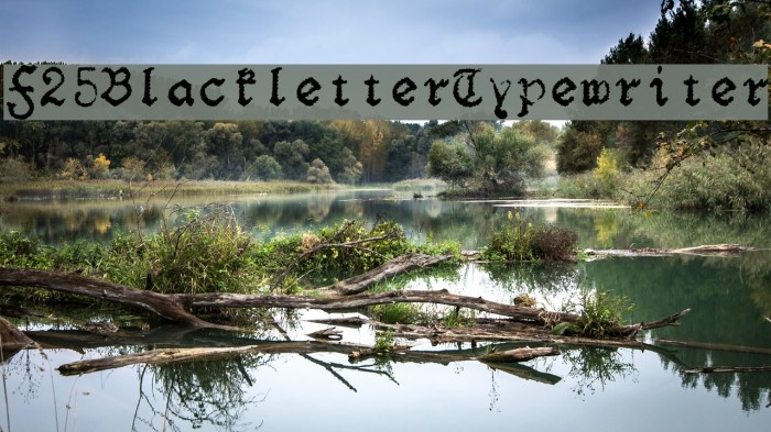 F25BlackletterTypewriter Polices examples