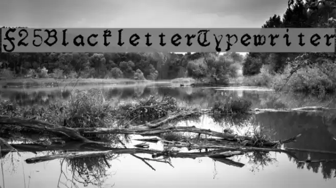 F25BlackletterTypewriter フォント examples