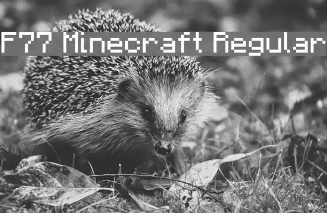 F77 Minecraft Regular Polices examples