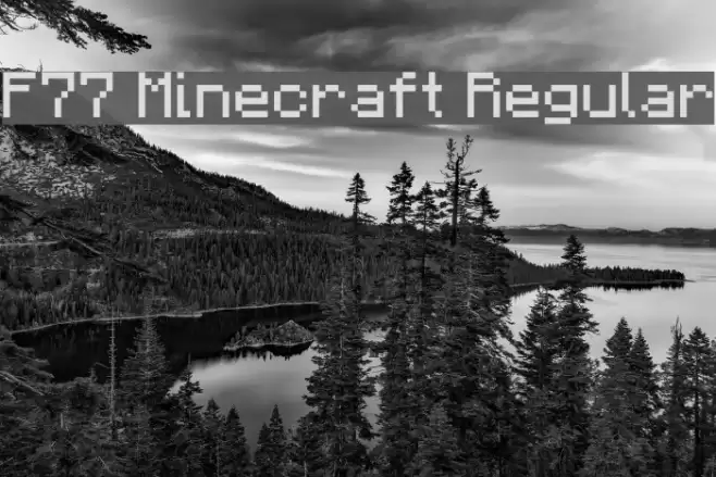 F77 Minecraft Regular Polices examples