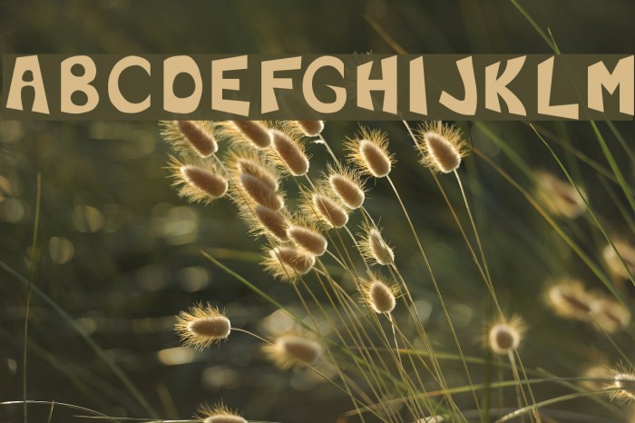 F'Earth Font examples