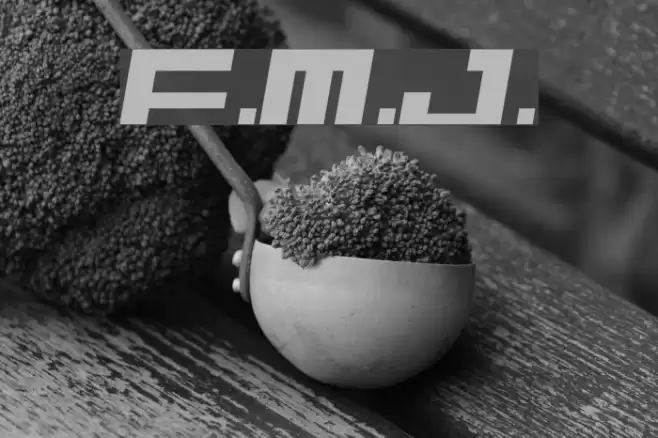 F.M.J. Шрифта examples