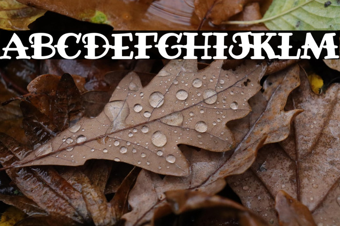 F.T.W. since 1974 Example 1