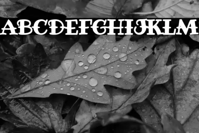 F.T.W. since 1974 Font examples