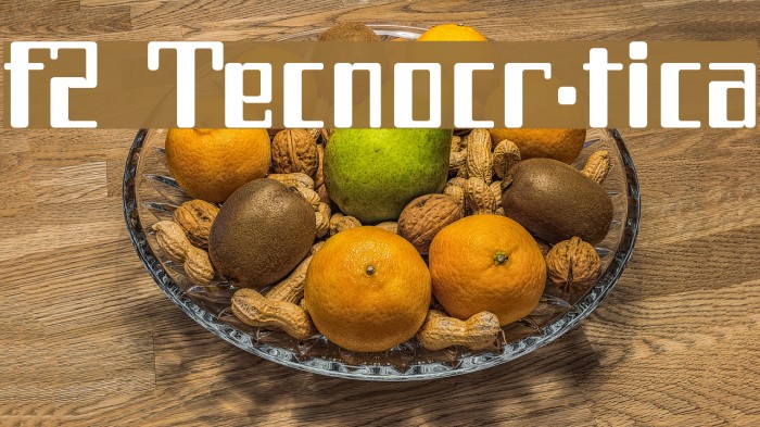 f2 Tecnocr·tica Font examples