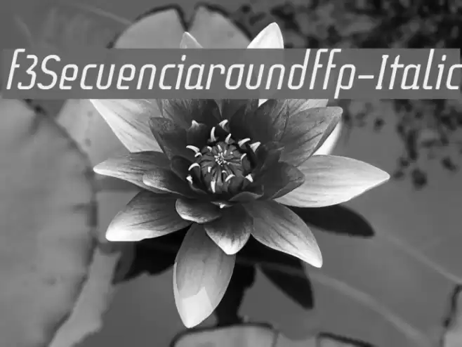 f3Secuenciaroundffp-Italic Polices examples