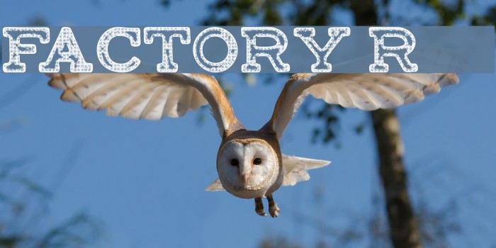 FACTORY-Regular Font examples