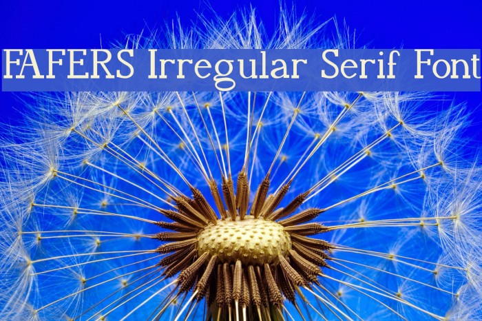 FAFERS Irregular Serif Font Example 1