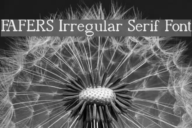 FAFERS Irregular Serif Font Font examples