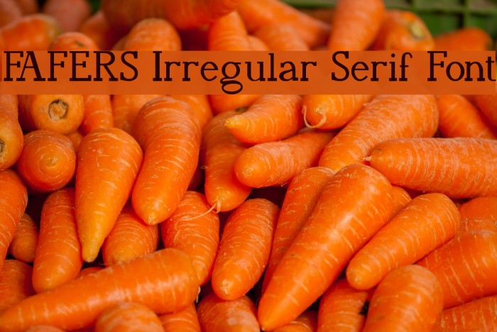 FAFERS Irregular Serif Font Example 2