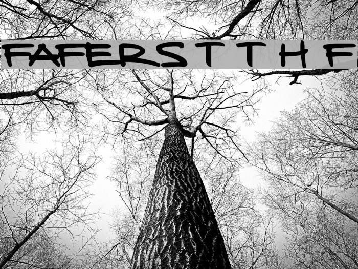FAFERS True Type Handwriting Font Font examples