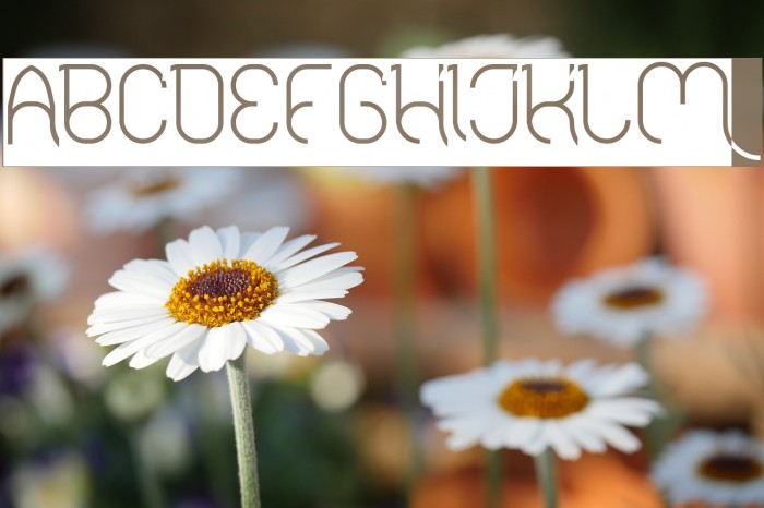FALLINGINLOVEInverse Font examples