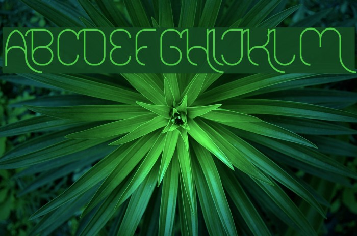 FALLINGINLOVELight Example 1