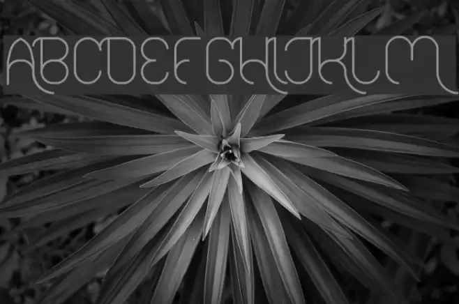 FALLINGINLOVELight Font examples