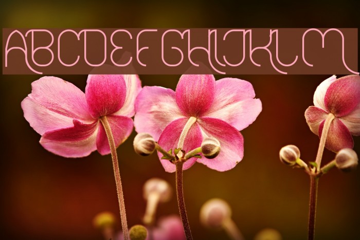 FALLINGINLOVELight Example 3