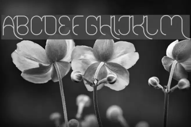 FALLINGINLOVELight Font examples