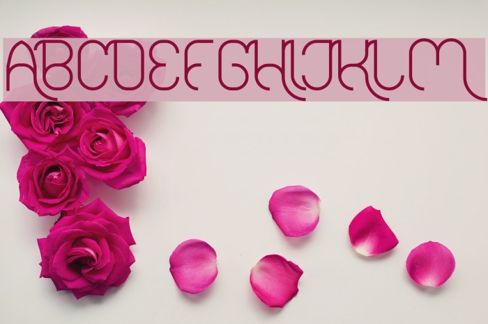FALLINGINLOVE Font examples