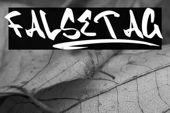 FALSETAG_ Font examples