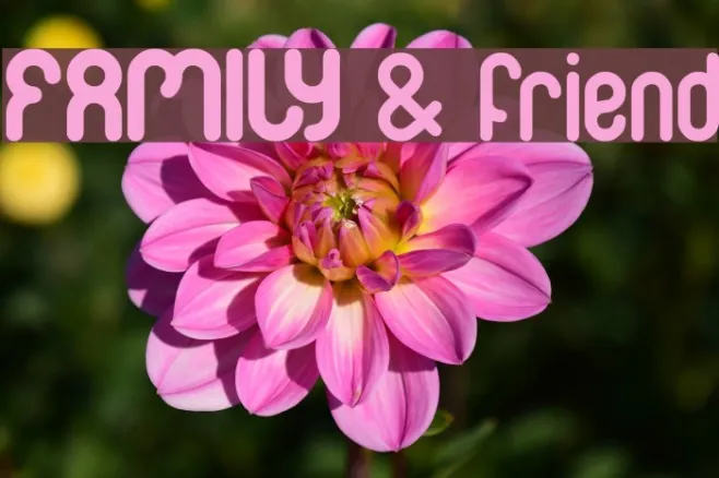 FAMILY & friend Example 2