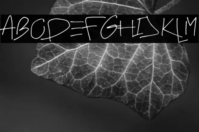 FAMOUS STARSS Font examples