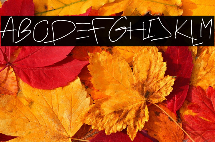 FAMOUS STARSS Example 3