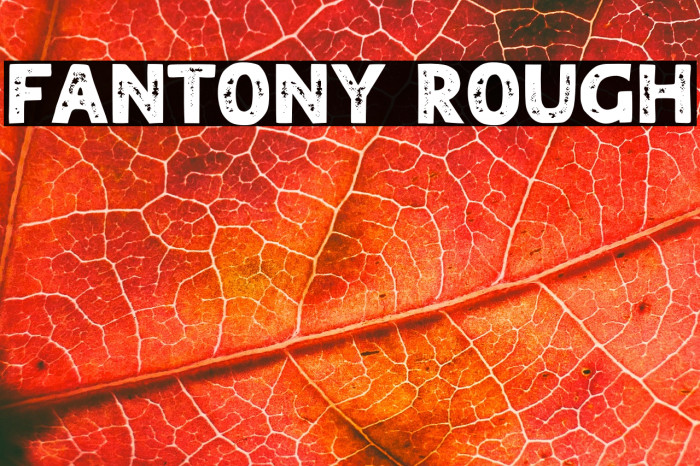 FANTONY ROUGH Example 1