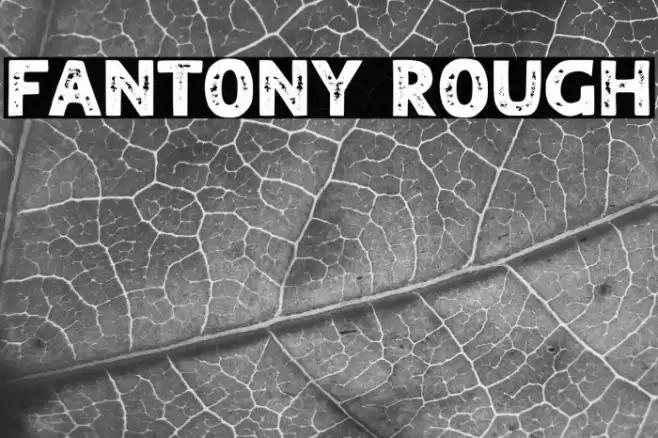 FANTONY ROUGH Schriftart examples